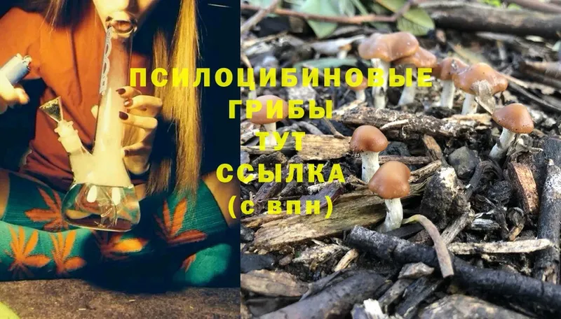 shop какой сайт  гидра ONION  Мураши  Галлюциногенные грибы MAGIC MUSHROOMS 